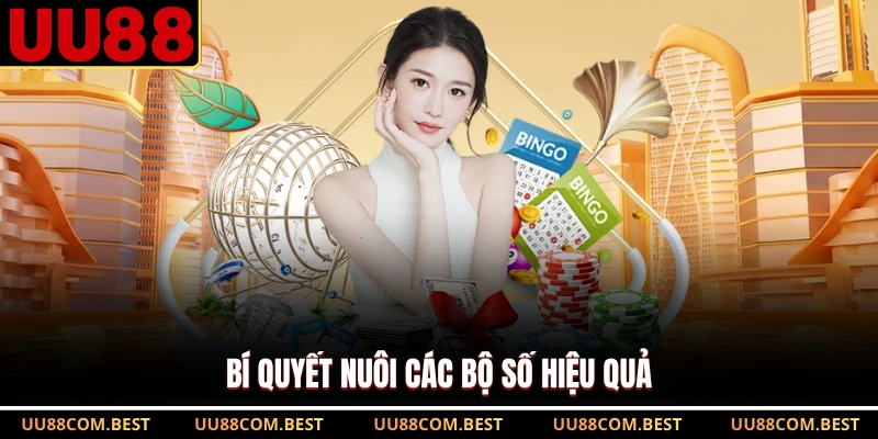 Bí quyết nuôi các bộ số hiệu quả