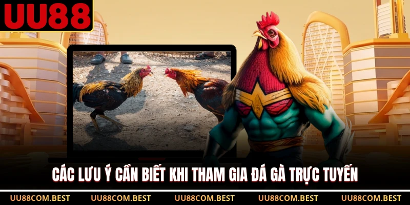 Các lưu ý cần biết khi tham gia đá gà trực tuyến