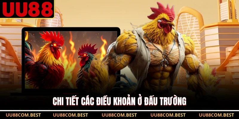 Chi tiết các điều khoản ở đấu trường
