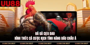 Đá Gà Cựa Dao - Hình Thức Cá Cược Kịch Tính Hàng Đầu Châu Á