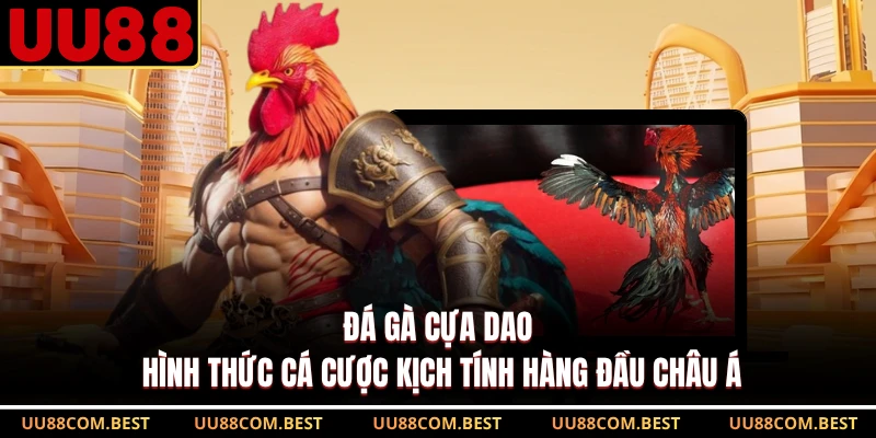 Đá Gà Cựa Dao - Hình Thức Cá Cược Kịch Tính Hàng Đầu Châu Á