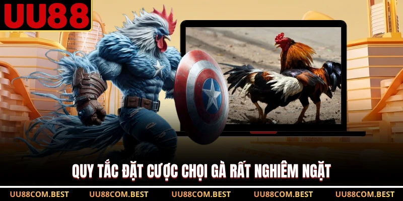 Quy tắc đặt cược chọi gà rất nghiêm ngặt