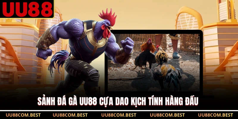 Sảnh đá gà UU88 cựa dao kịch tính hàng đầu